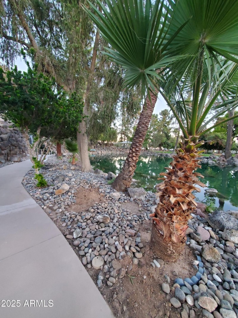 Resized_20251208_171714