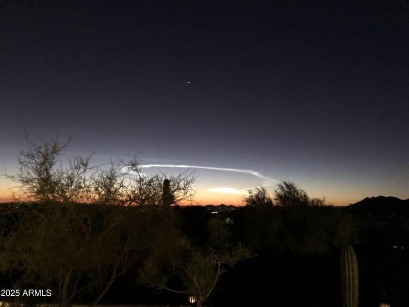 Backyard Evening View