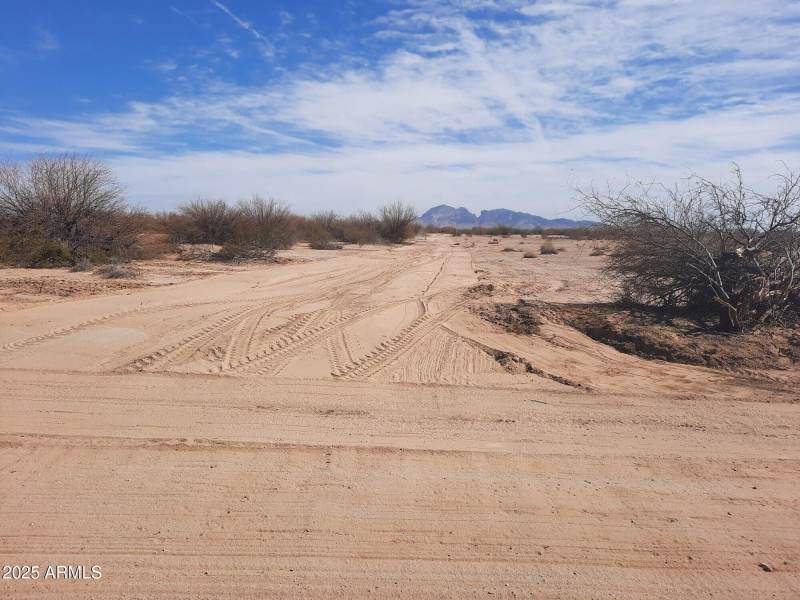 Resized_20250211_122130_17018240800826