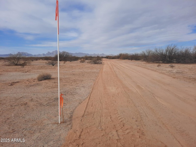 Resized_20250212_103112_17575437325197