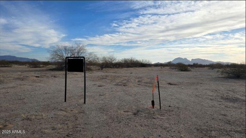 Black20250207_083716