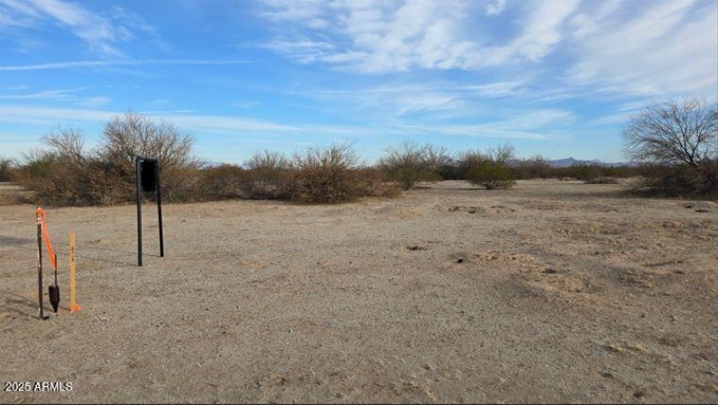 Black20250207_084657