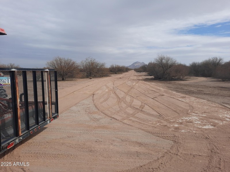 Resized_20250212_123209_18333848142847