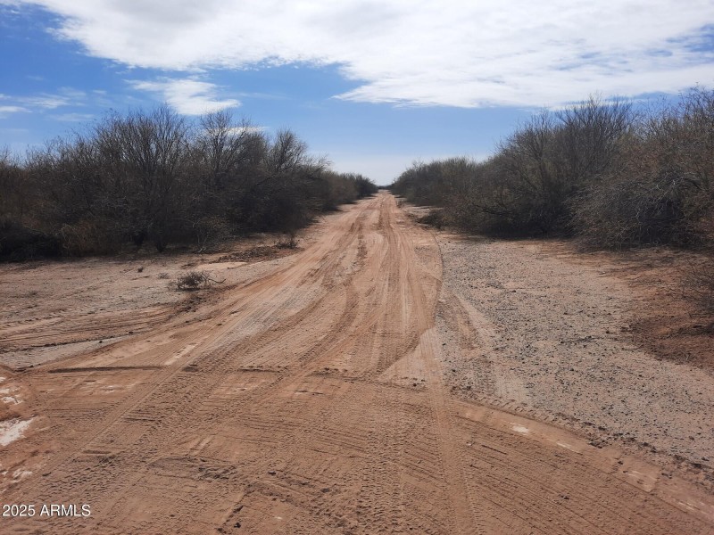 Resized_20250212_123225_17999553262394