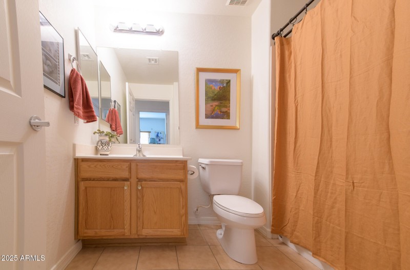 Hall Bath_Shainer__SEW2860