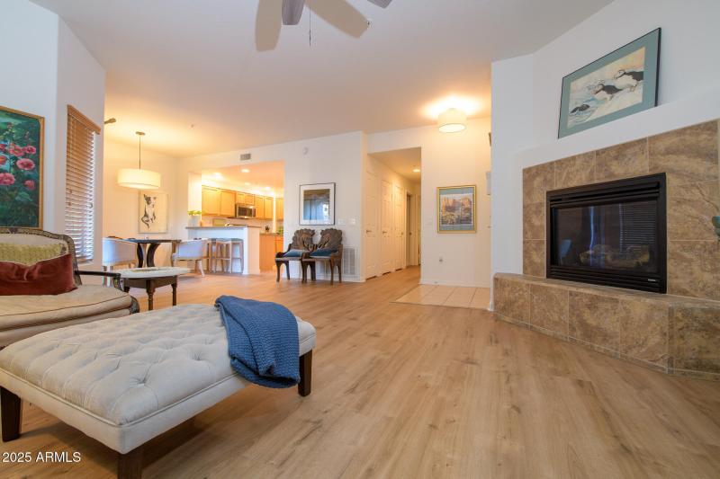 LR-DR-Kit-FP_Shainer__SEW2899