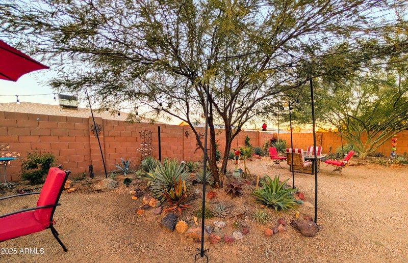 PXL_20251210_000848944-EDIT