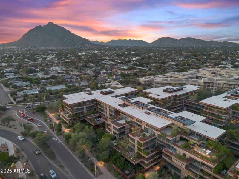 Welcome to the Optima Camelview