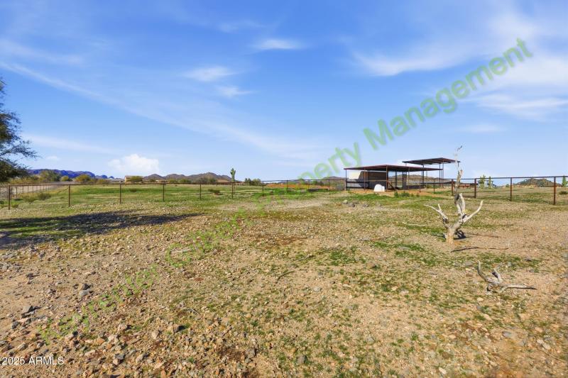 61-web-or-mls-IMG_0274