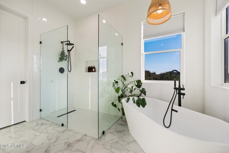Shower / Soaking Tub