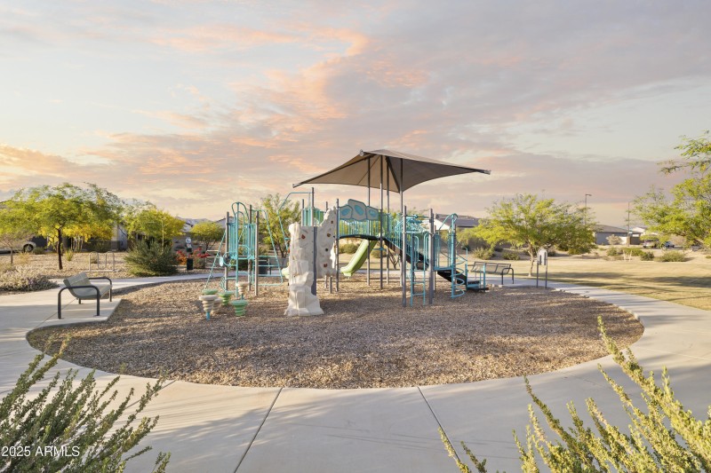 6-print-24111-w-flores-dr