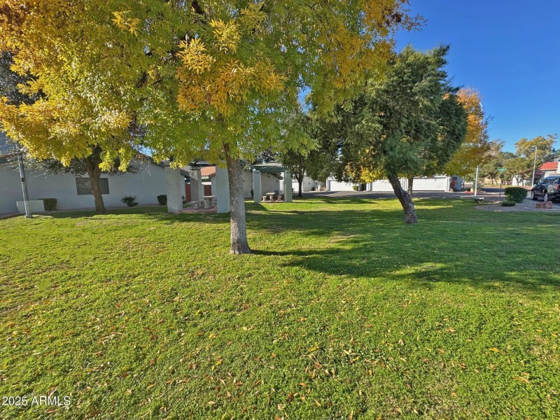 Community Park, Alt View