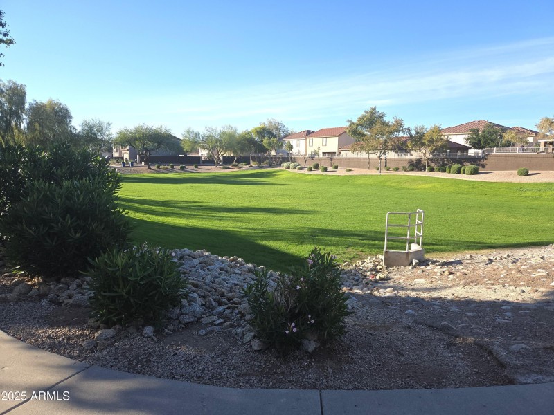 Arizona Goldfield Park