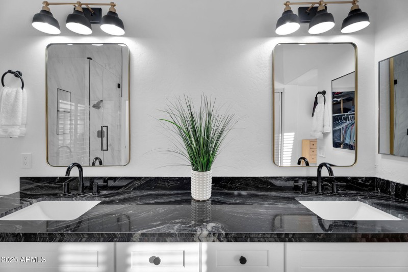 Primary dual sink vanity