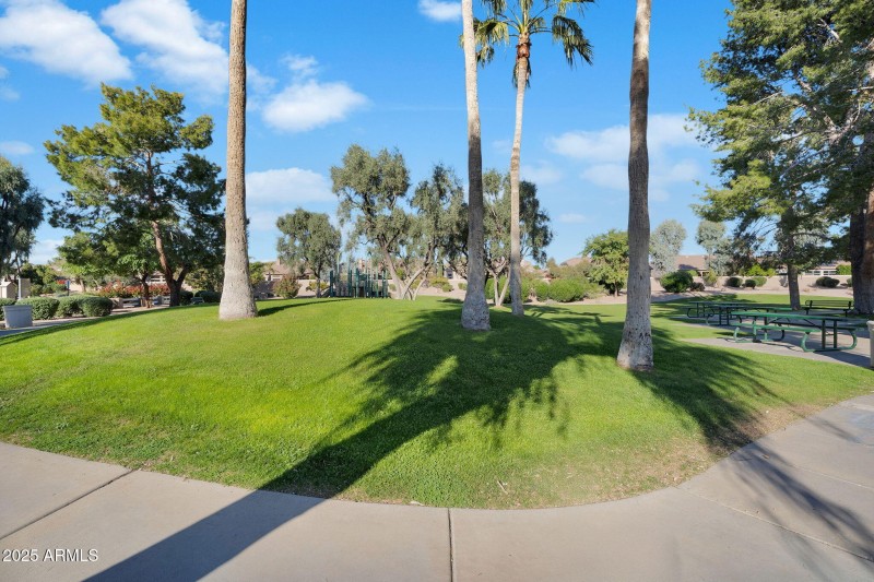 76-web-or-mls-DSC00890