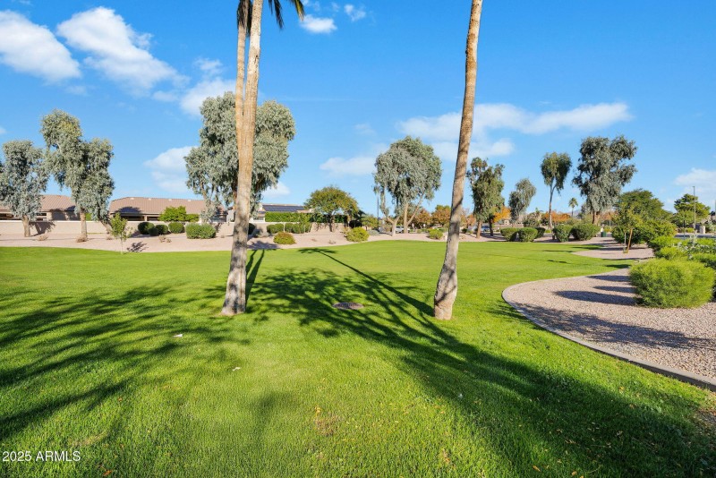 78-web-or-mls-DSC00910