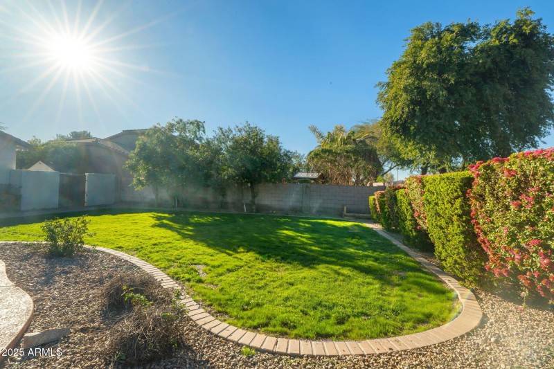 97-web-or-mls-Done-96