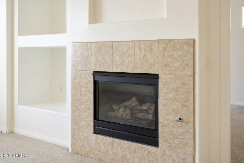 GAS FIREPLACE IN LR