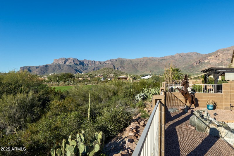 View from back fence