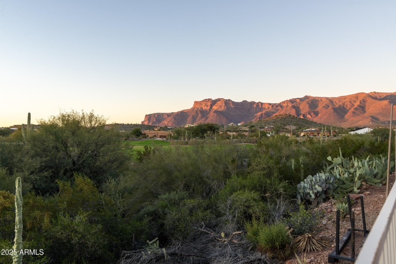 View from back fence