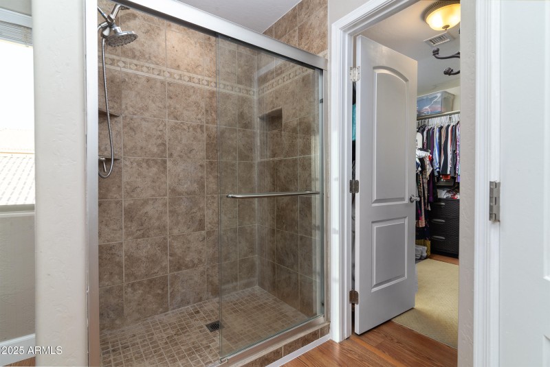 Master updated shower