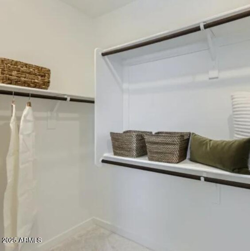 Owners Walk in Closet