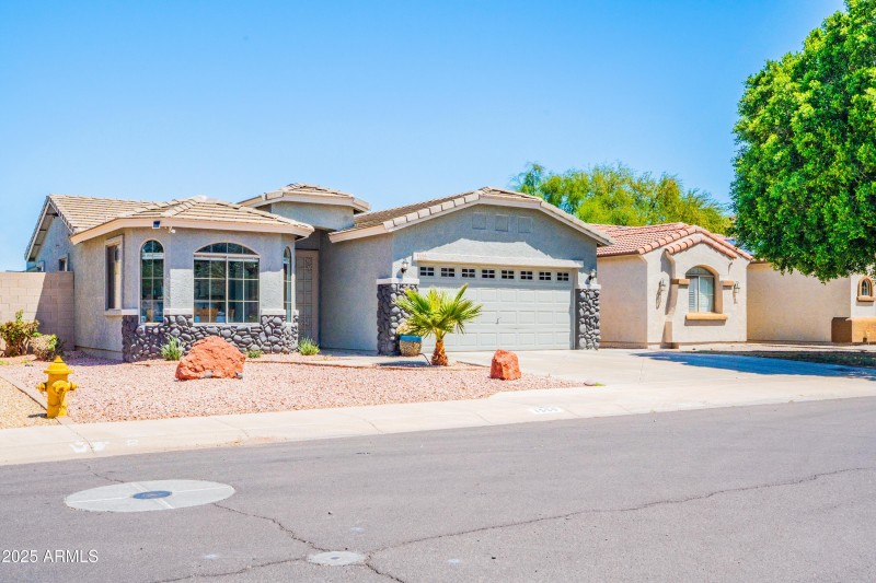 Great Shade Tree in Front