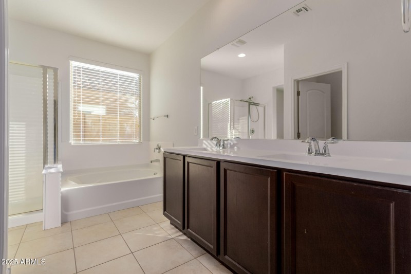 Primary Suite Bathroom