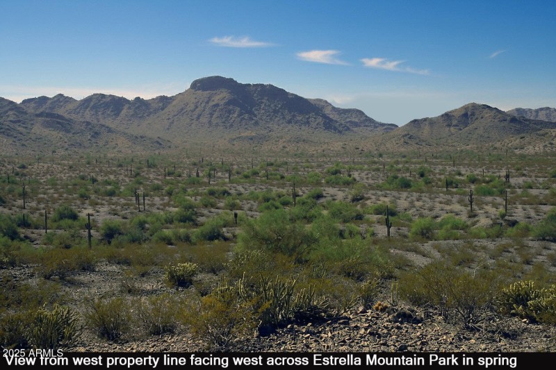 3_View to the west in spring