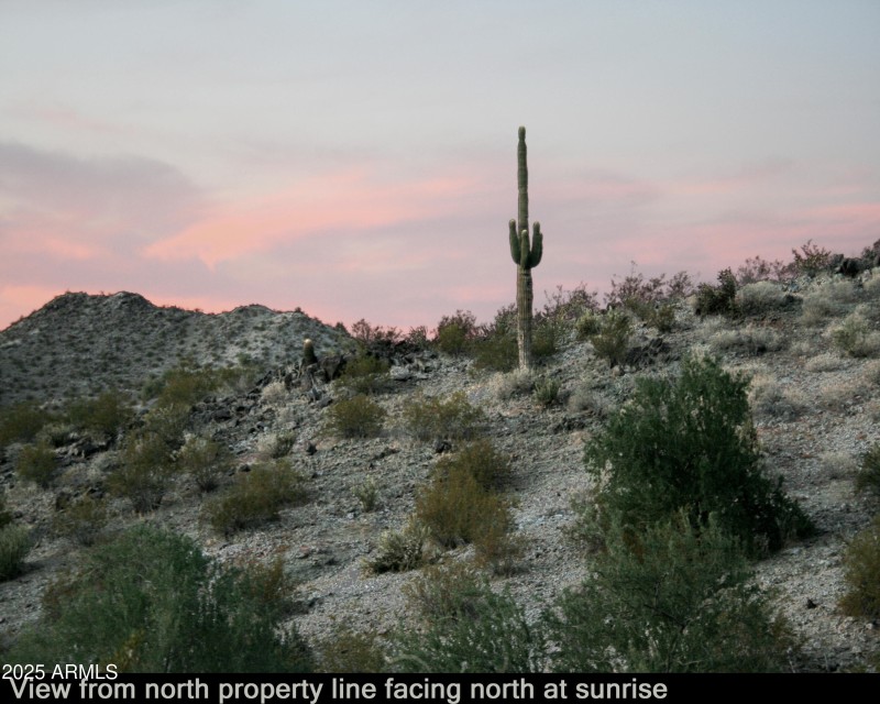9_View to the north at sunrise with fros