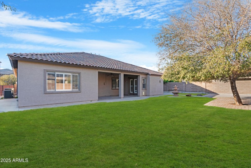 Backyard 3 (grass replacement)