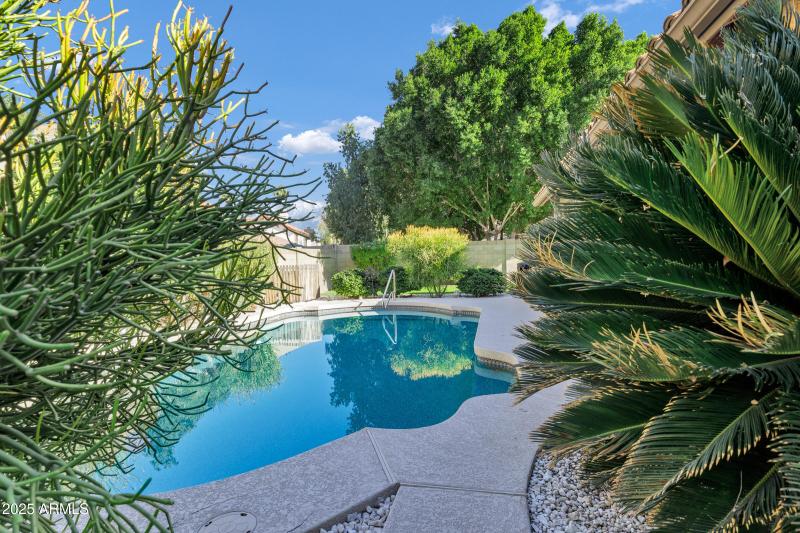 702 E Avenida Sierra Madre-37