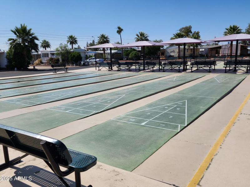 Shuffleboard