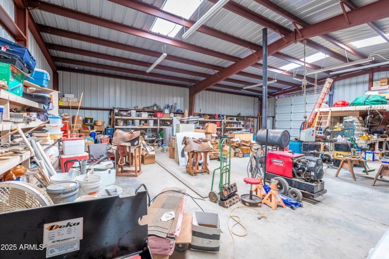 KNK-905 Mnt Lion Pass-60