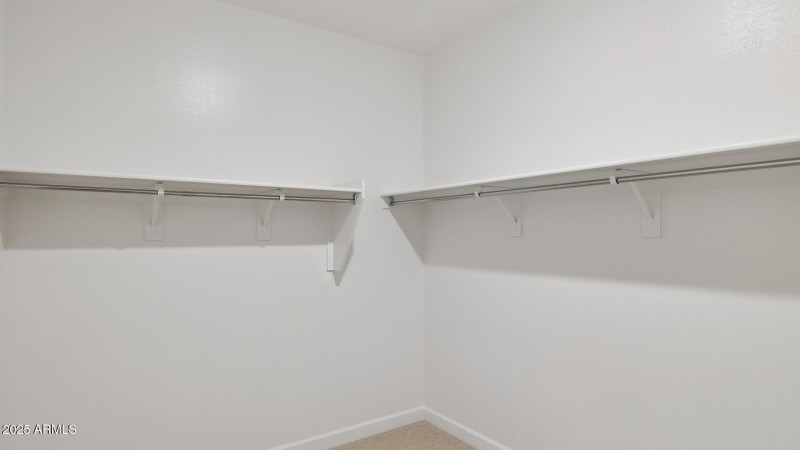 3985_Phoenician_Lot 2078_Aloravita_Peori