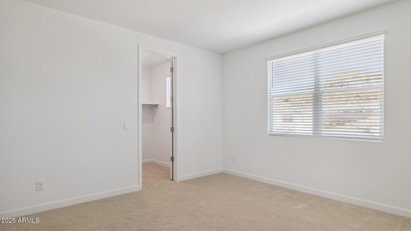 3985_Phoenician_Lot 2078_Aloravita_Peori