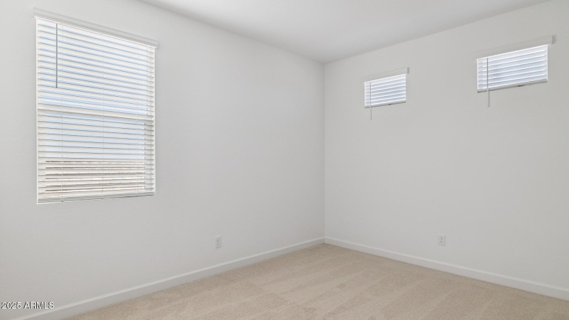 3985_Phoenician_Lot 2078_Aloravita_Peori