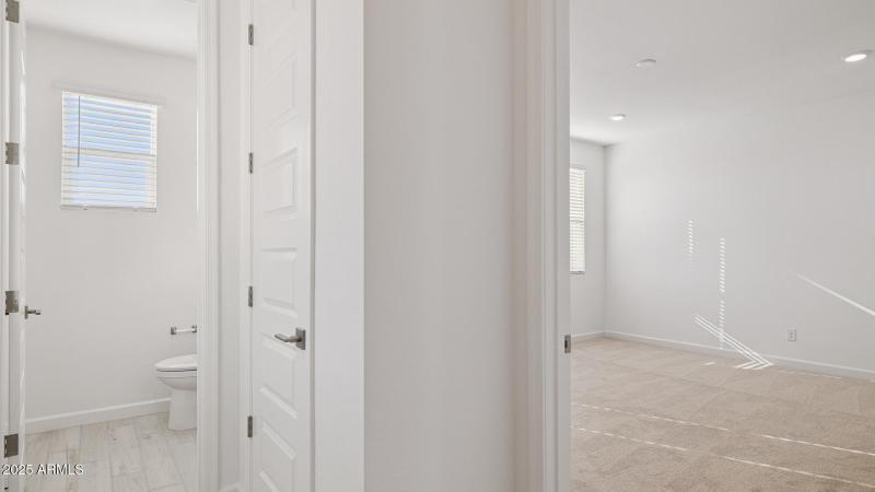 3985_Phoenician_Lot 2081_Aloravita_Peori