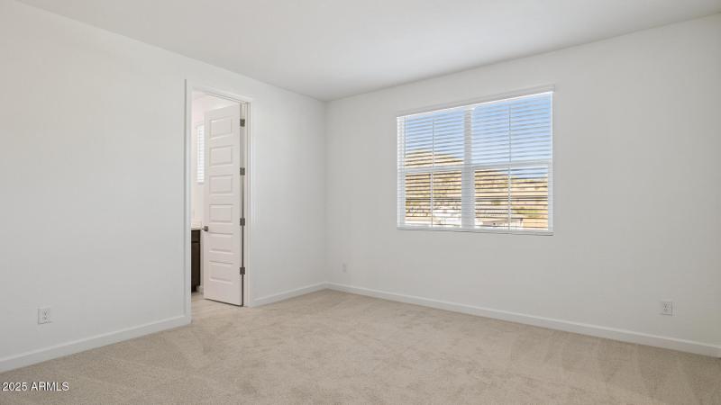 3985_Phoenician_Lot 2081_Aloravita_Peori