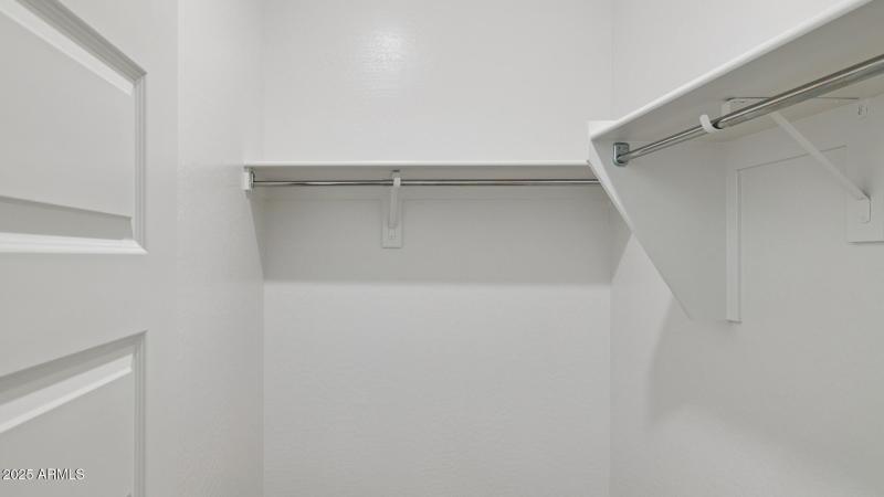 3985_Phoenician_Lot 2081_Aloravita_Peori