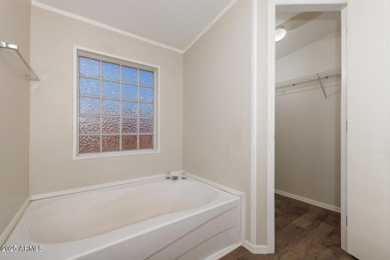 lll-master-bath-tub-1