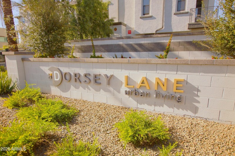 Dorsey Lane