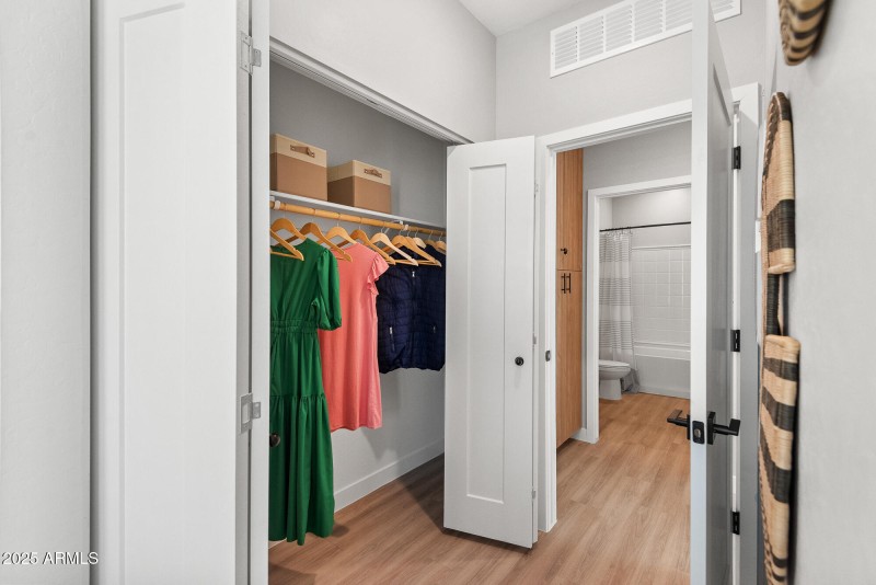 Bedroom Closet 1