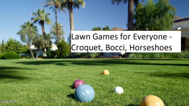 Lawn Games