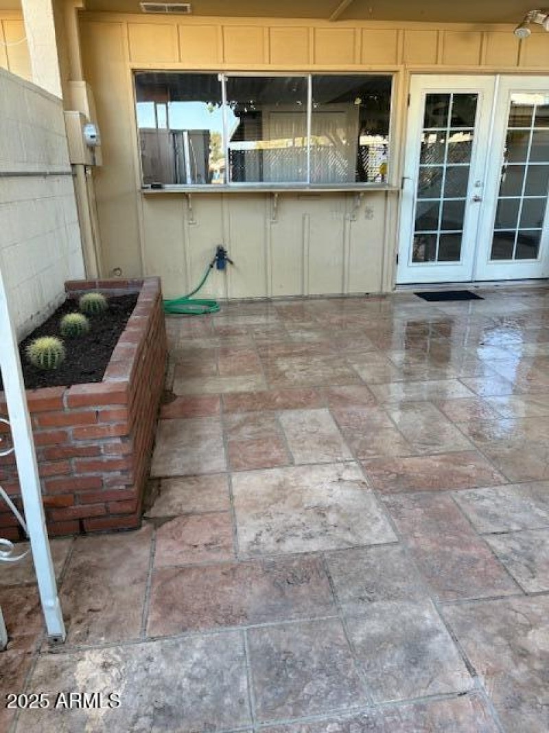 Patio with Cactus Garden