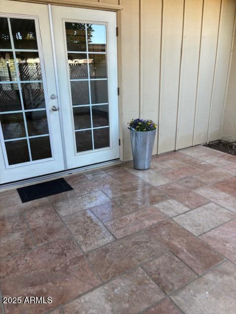 Back Patio French Doors