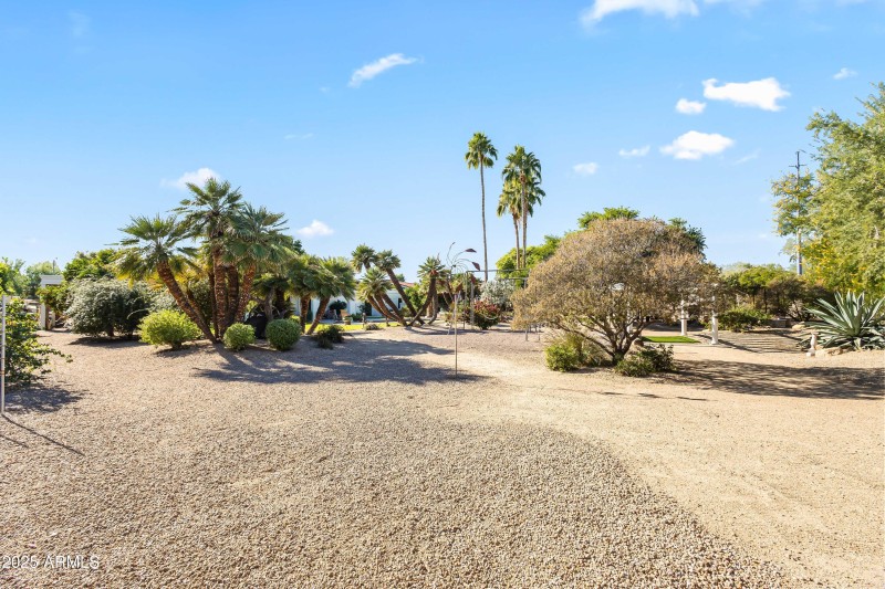 BACKYARD WALKING PATH VIEW II