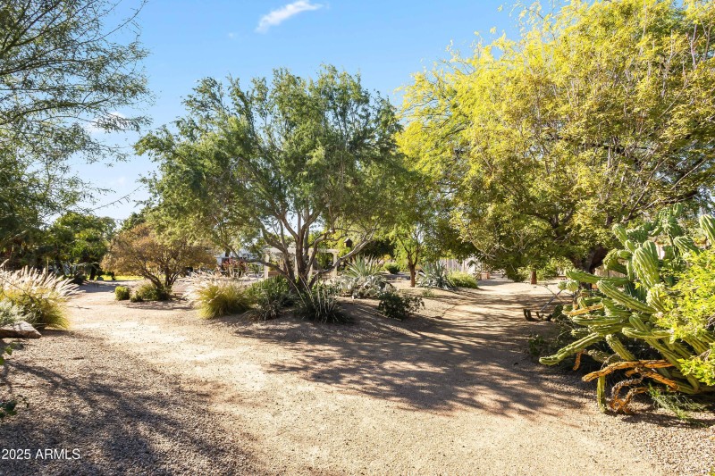 BACKYARD DESERT GARDENS
