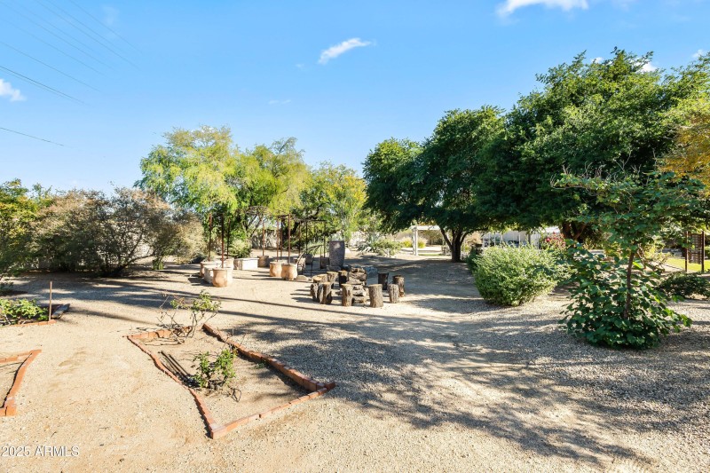 BACKYARD DESERT GARDENS II