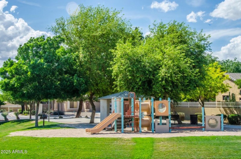 Neely_11.jpg.2000x2000_q95_upscale